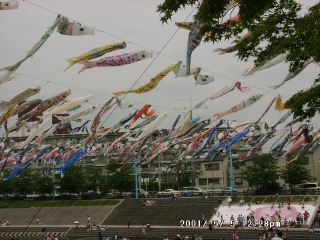 05050004.JPG 320��240 (40KB)