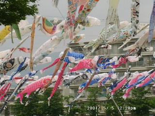 05050005.JPG 200��150 (44KB)