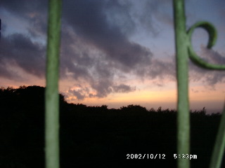 10120021.jpg 320��240 (16KB)
