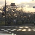合気道眞武館