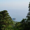 合気道眞武館