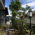 合気道眞武館