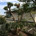 合気道眞武館