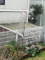 合気道眞武館