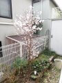 合気道眞武館