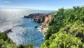 合気道眞武館